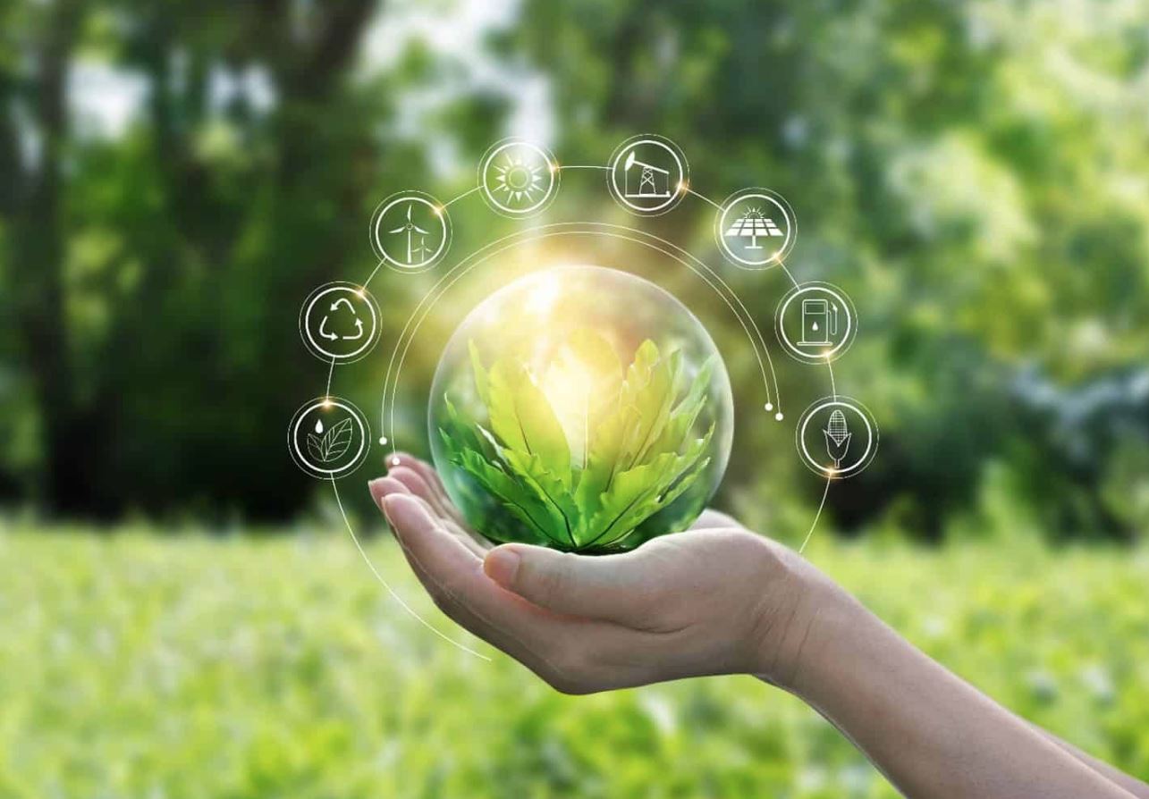 The Green Equation of Responsibility